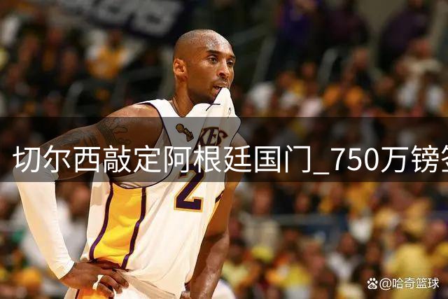 切尔西敲定阿根廷国门 750万镑签"大马丁
